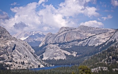 Yosemite Scene 2
