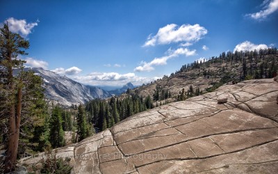 Yosemite Scene 3