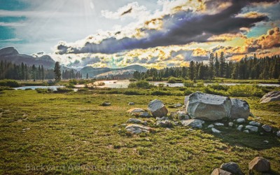 Yosemite Scene
