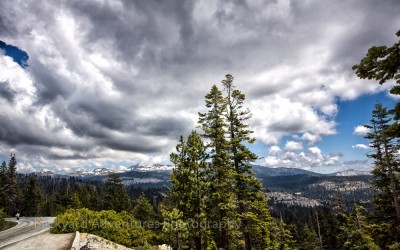 Yosemite Scene 5