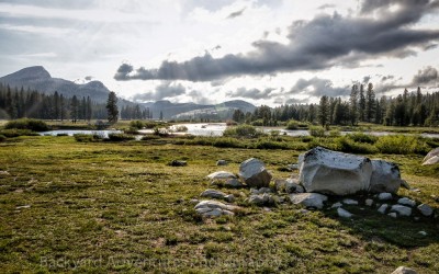 Yosemite Scene 6