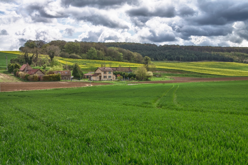 French Farm/Countryside